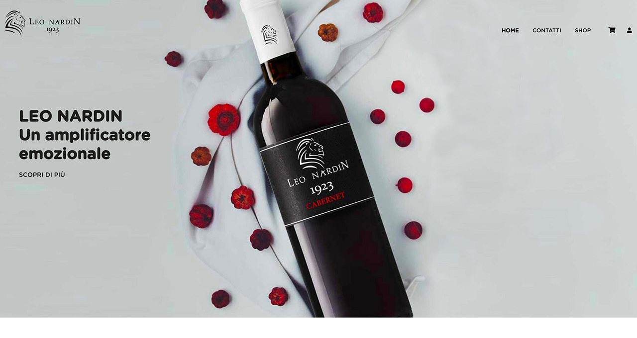 Sito Web Leo Nardin - Jacopo Zane Web Designer - Treviso